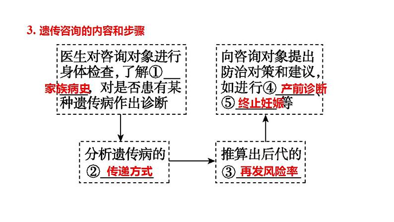 2023届高三生物一轮复习课件人类遗传病的类型及调查第6页