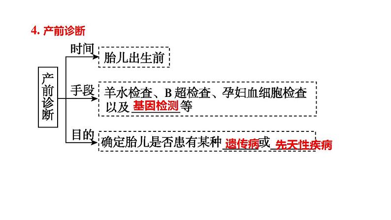 2023届高三生物一轮复习课件人类遗传病的类型及调查第7页