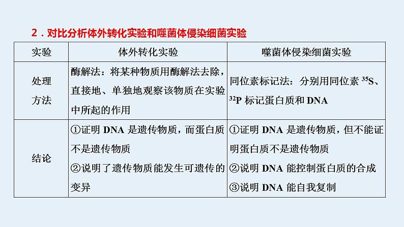 2023届高三生物一轮复习课件噬菌体侵染细菌的实验(1)05