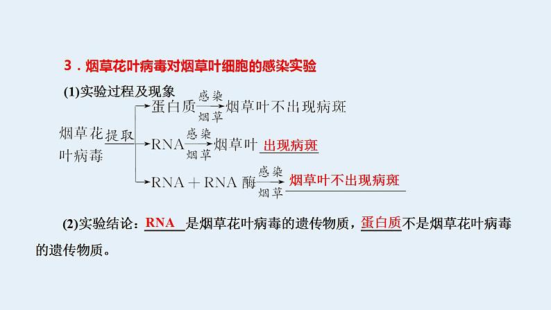 2023届高三生物一轮复习课件噬菌体侵染细菌的实验(1)06