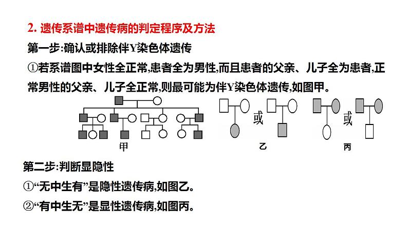 2023届高三生物一轮复习课件遗传系谱图综合判断与概率计算第3页