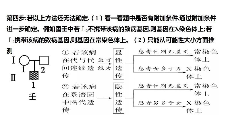 2023届高三生物一轮复习课件遗传系谱图综合判断与概率计算第6页