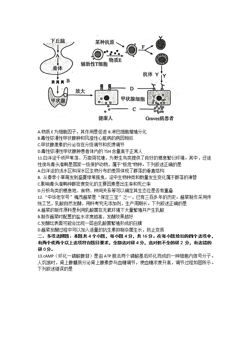 2023保定高三上学期1月期末生物含解析 试卷03