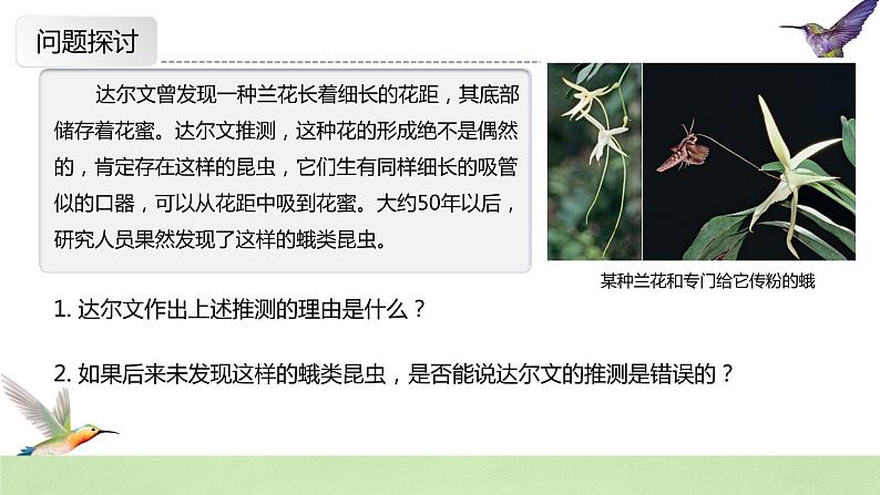 【核心素养】人教版高中生物必修二6.4《协同进化与生物多样性的形成》课件PPT+教案+练习03