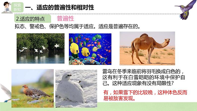 【核心素养】人教版高中生物必修二6.2《自然选择与适应的形成》课件PPT+教案+练习07