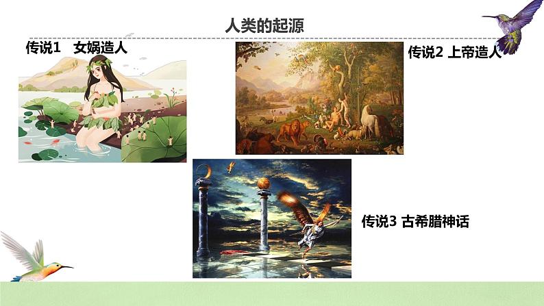 【核心素养】人教版高中生物必修二6.1《生物有共同祖先的证据》课件PPT+教案+练习02