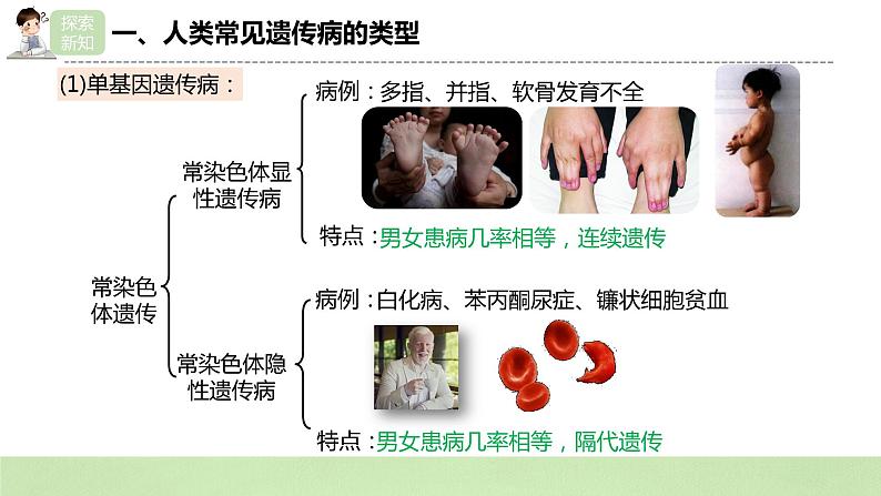 2019人教版高中生物必修二5.3《人类遗传病》课件第7页