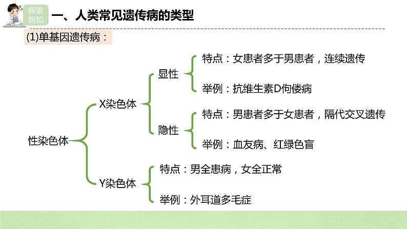 2019人教版高中生物必修二5.3《人类遗传病》课件第8页