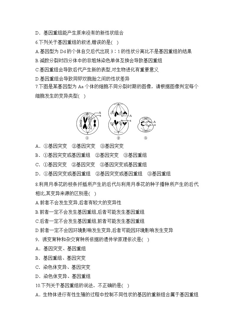 【核心素养】人教版高中生物必修二5.1《基因突变和基因重组》课件PPT+教案+练习02