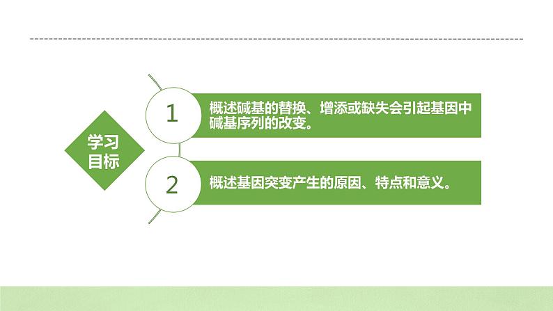 2019人教版高中生物必修二5.1《基因突变和基因重组》课件第5页