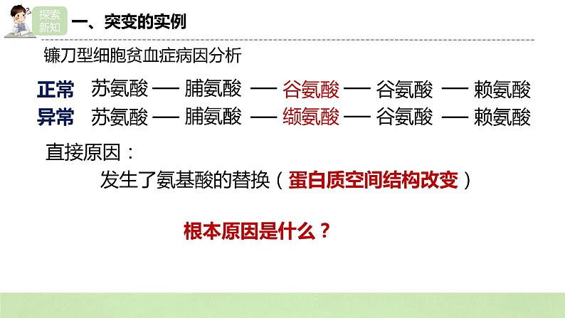 2019人教版高中生物必修二5.1《基因突变和基因重组》课件第8页