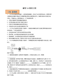 解密14 基因工程（分层训练）-【高频考点解密】高考生物二轮复习讲义+分层训练（全国通用）