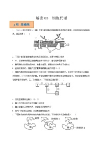 解密03 细胞代谢（分层训练）-【高频考点解密】高考生物二轮复习讲义+分层训练（全国通用）