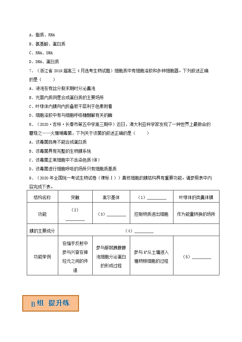 解密02 细胞的结构与功能（分层训练）-【高频考点解密】高考生物二轮复习讲义+分层训练（全国通用）02