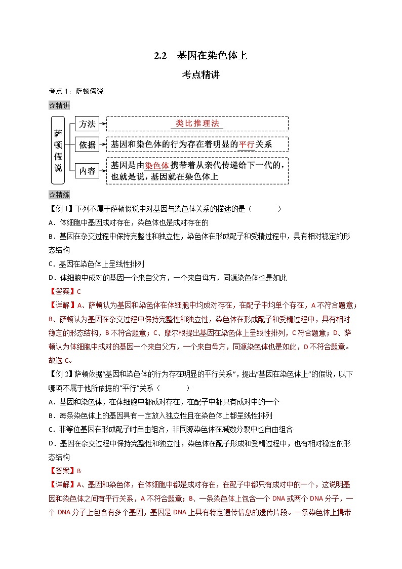 2.2 基因在染色体上-最新高一下学期生物同步考点精讲精练（人教版2019必修2）01