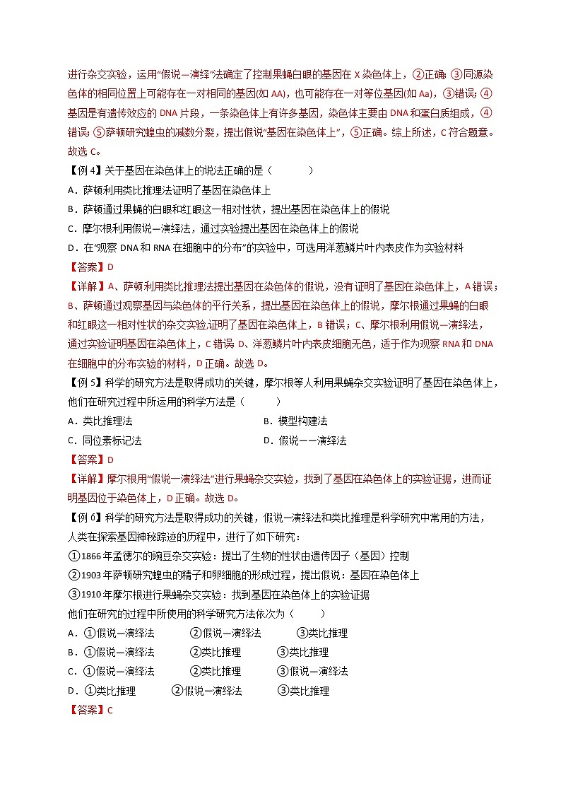 2.2 基因在染色体上-最新高一下学期生物同步考点精讲精练（人教版2019必修2）03