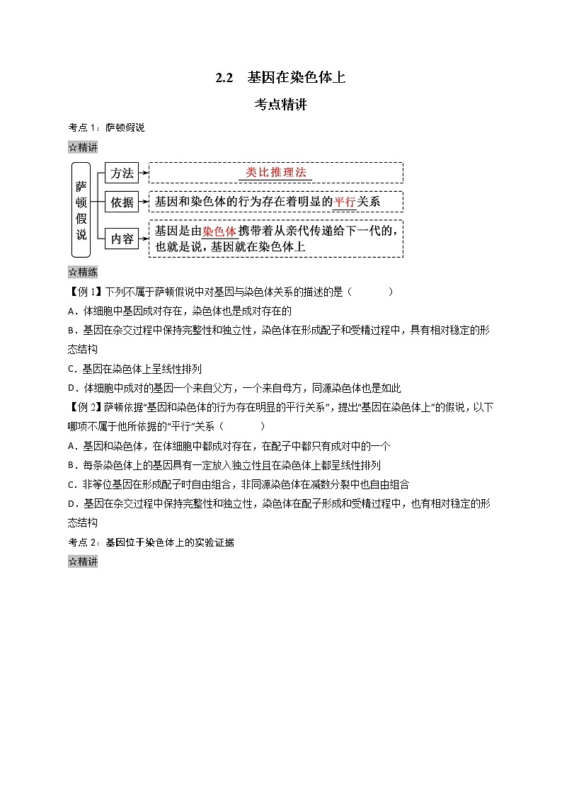 2.2 基因在染色体上-最新高一下学期生物同步考点精讲精练（人教版2019必修2）01