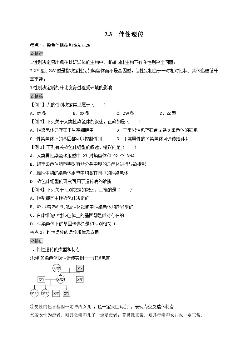 2.3 伴性遗传-最新高一下学期生物同步考点精讲精练（人教版2019必修2）（原卷版）第1页