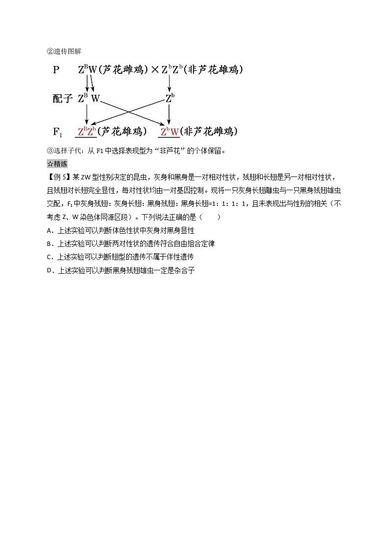 2.3 伴性遗传-最新高一下学期生物同步考点精讲精练（人教版2019必修2）（原卷版）第3页