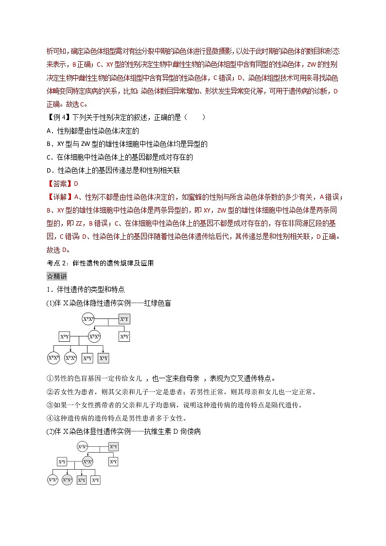 2.3 伴性遗传-最新高一下学期生物同步考点精讲精练（人教版2019必修2）（解析版）第2页