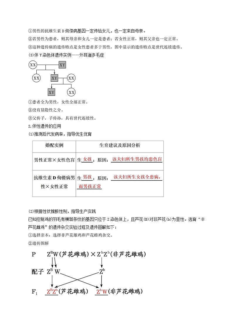 2.3 伴性遗传-最新高一下学期生物同步考点精讲精练（人教版2019必修2）（解析版）第3页