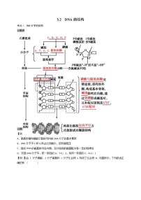 人教版 (2019)必修2《遗传与进化》第3章 基因的本质第2节 DNA的结构课后练习题