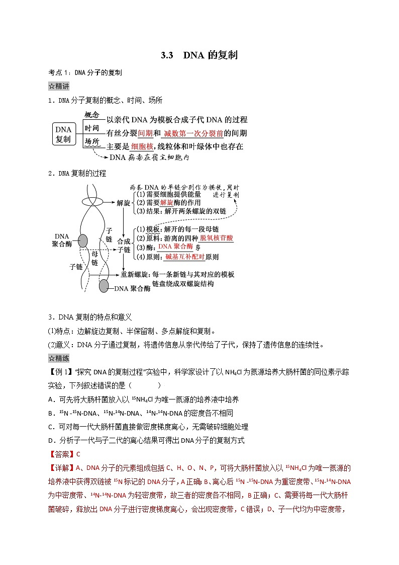 3.3 DNA的复制-最新高一下学期生物同步考点精讲精练（人教版2019必修2）（解析版）第1页