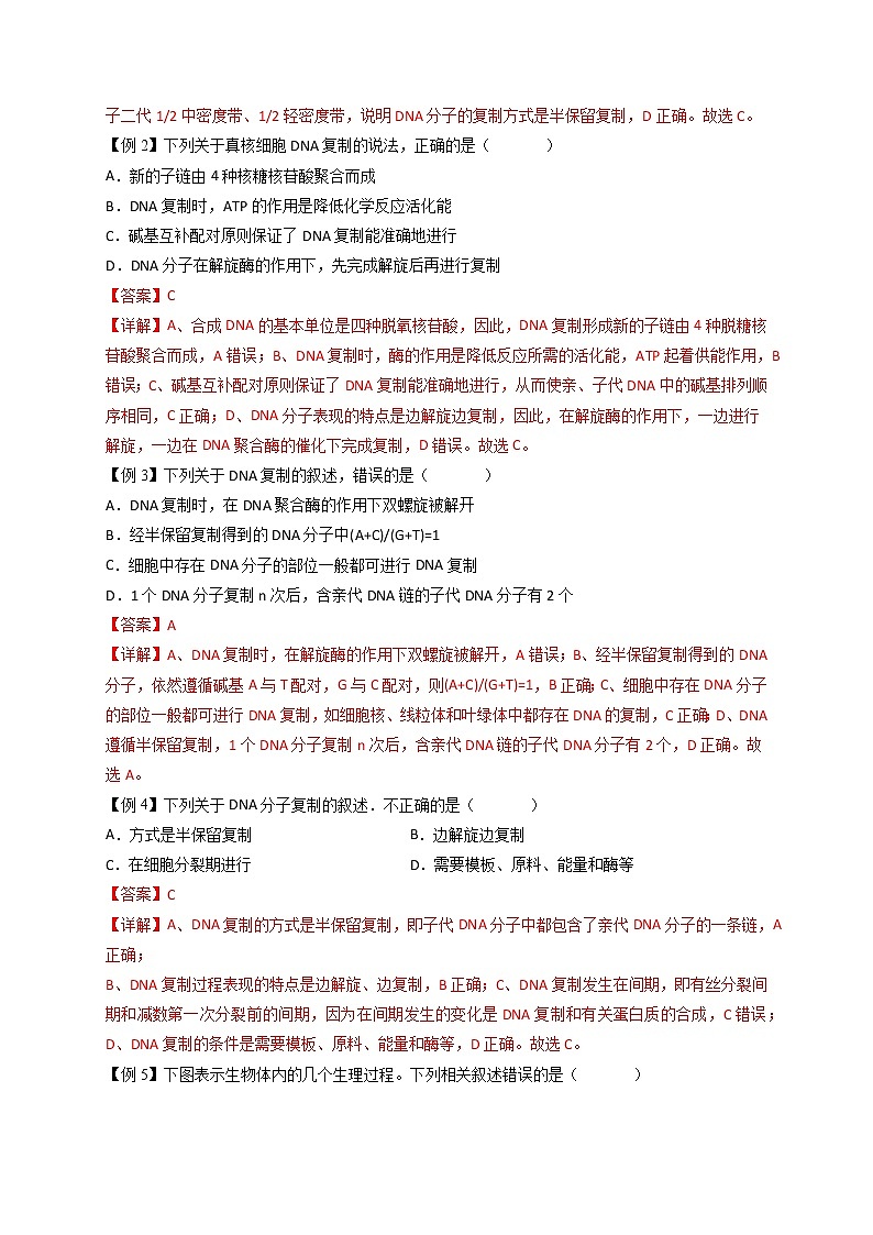 3.3 DNA的复制-最新高一下学期生物同步考点精讲精练（人教版2019必修2）（解析版）第2页