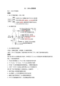 高中生物人教版 (2019)必修2《遗传与进化》第3节 DNA的复制同步训练题