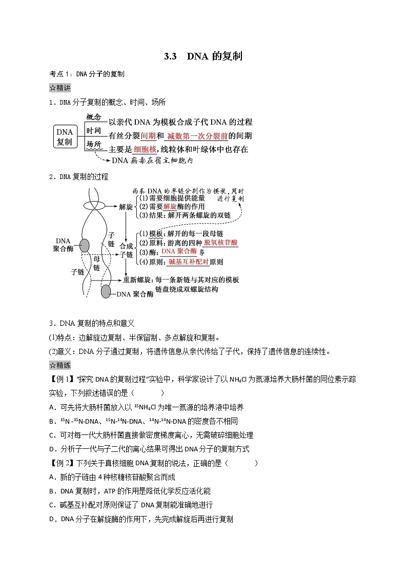 3.3 DNA的复制-最新高一下学期生物同步考点精讲精练（人教版2019必修2）（原卷版）第1页