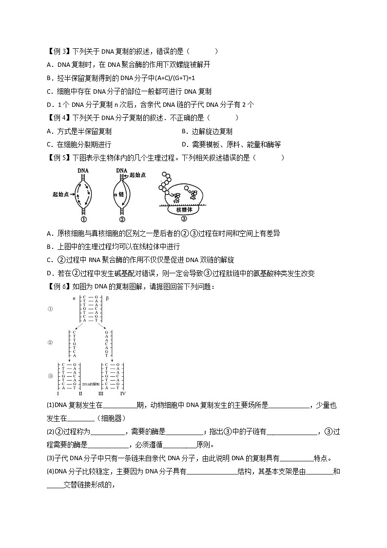 3.3 DNA的复制-最新高一下学期生物同步考点精讲精练（人教版2019必修2）（原卷版）第2页