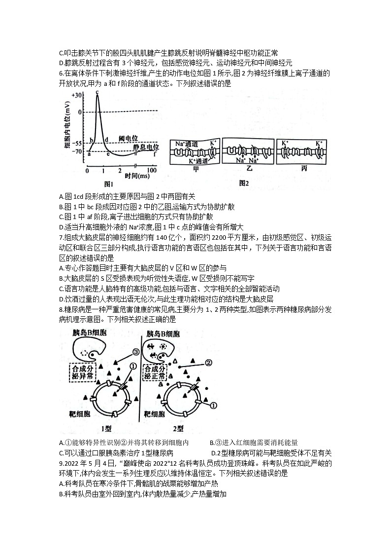 陕西省府谷中学2022-2023学年高二生物上学期期中考试试卷（Word版附答案）02