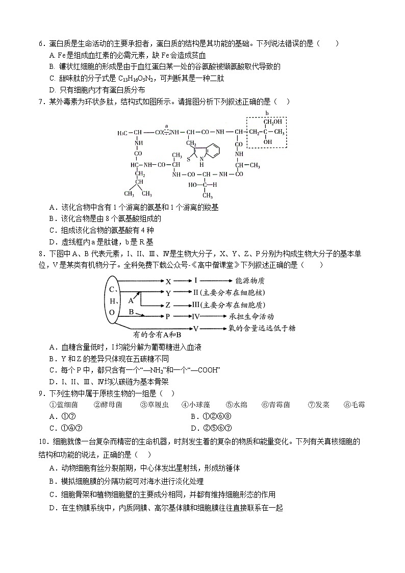 山东省实验中学2022-2023学年高一生物上学期期末考试试题（Word版附答案）02