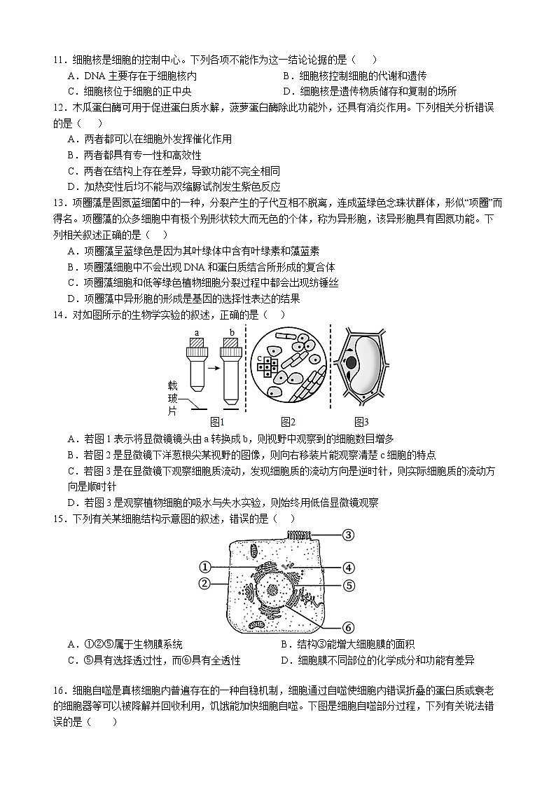山东省实验中学2022-2023学年高一生物上学期期末考试试题（Word版附答案）03