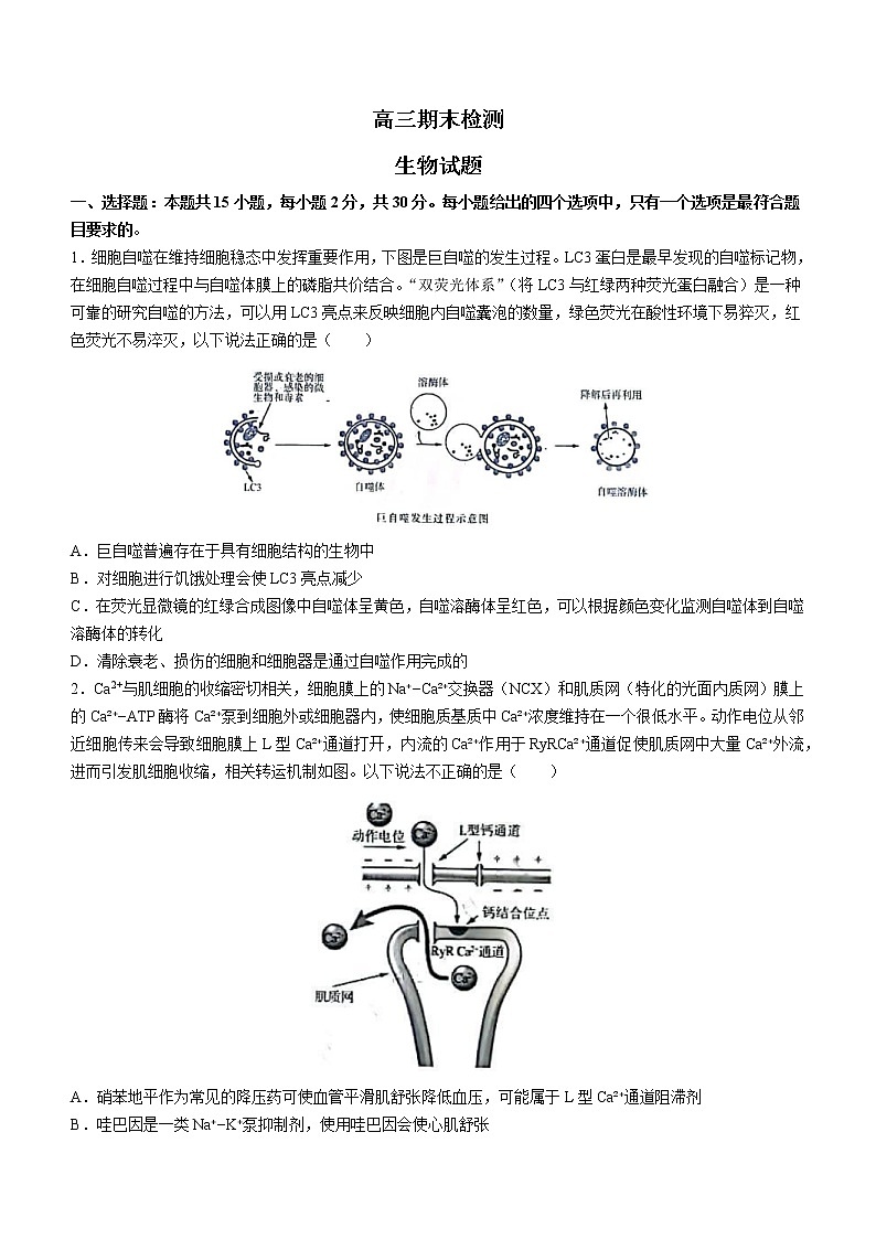 2023济南高三上学期1月期末检测（一模）生物含答案01
