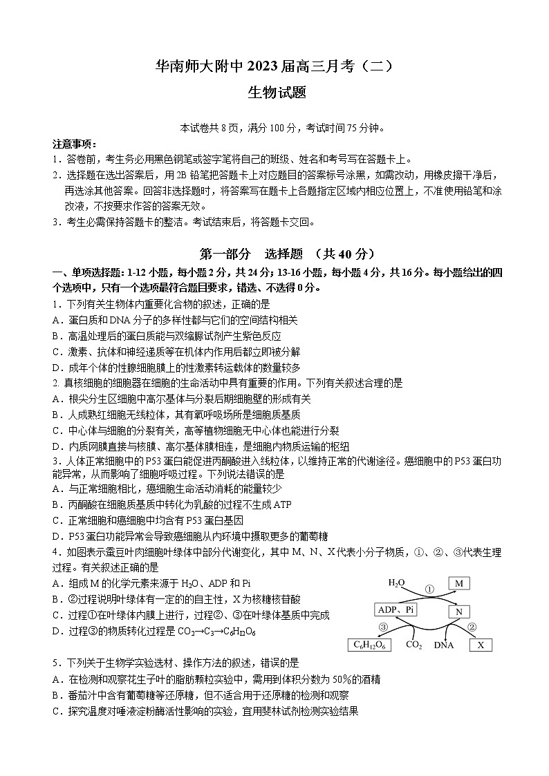 2022-2023学年广东省华南师大附中高三月考（二） 生物（解析版）第1页
