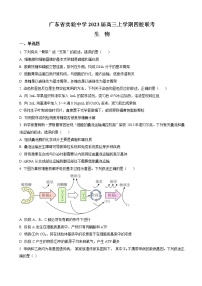 2022-2023学年广东省实验中学等四校高三上学期期中联考 生物（word版）