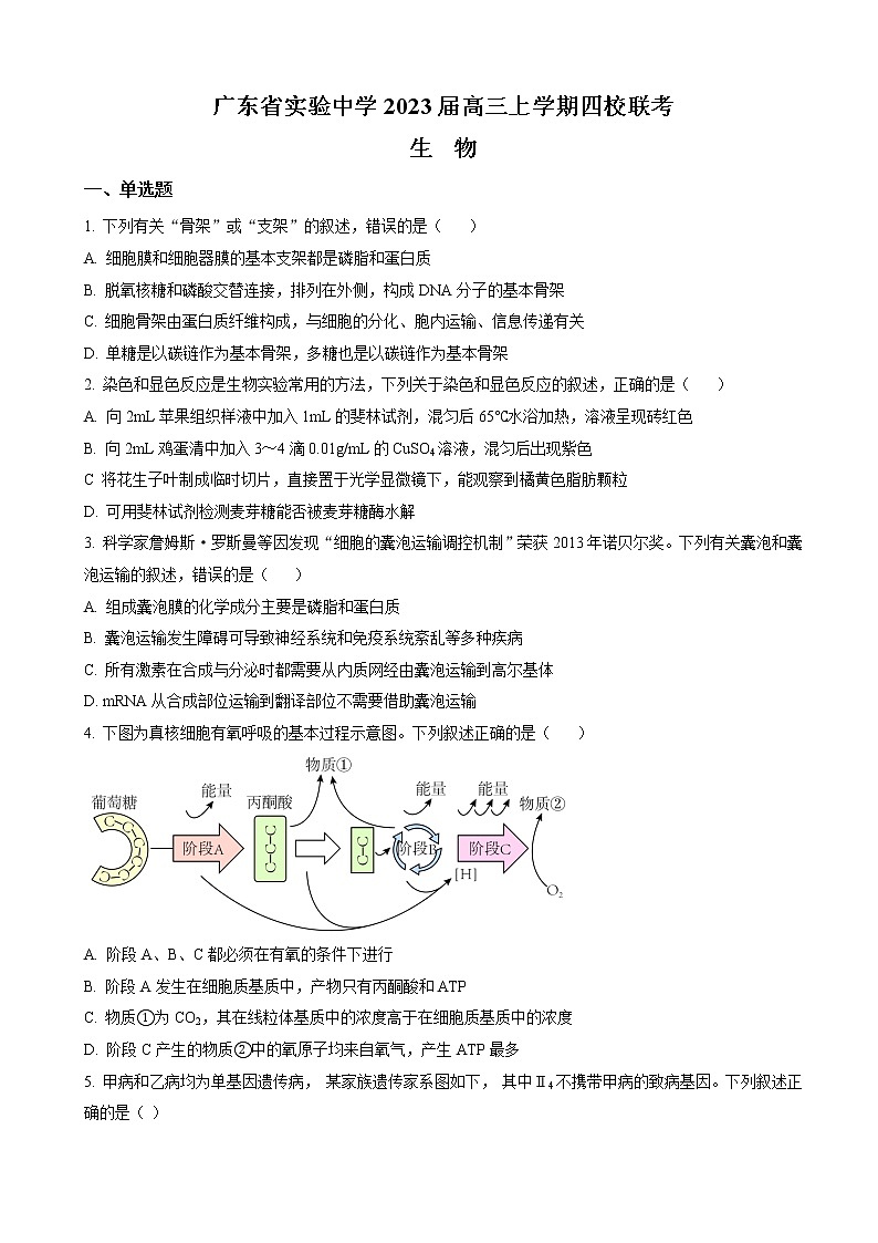 2022-2023学年广东省实验中学等四校高三上学期期中联考 生物（word版） 试卷01