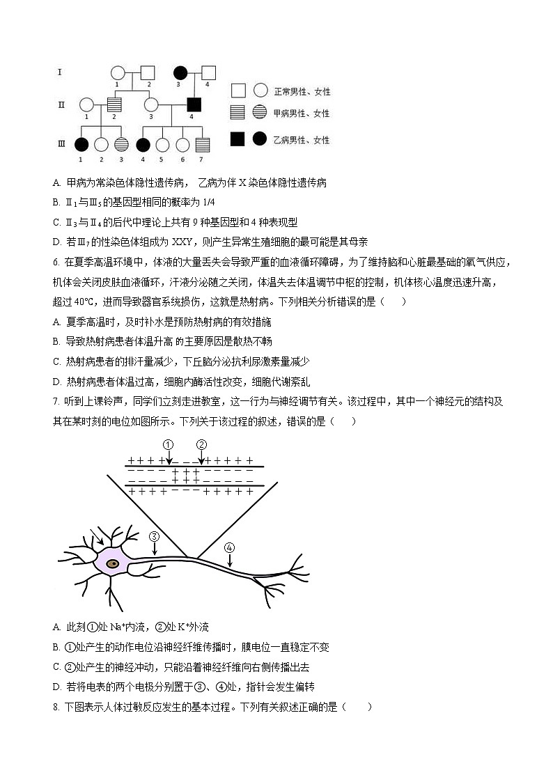 2022-2023学年广东省实验中学等四校高三上学期期中联考 生物（word版） 试卷02