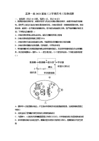 2022-2023学年河南省洛阳市孟津区第一高级中学高三上学期月考三生物试题