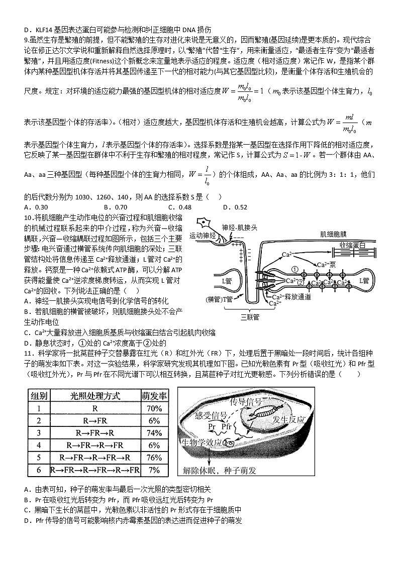2022-2023学年湖北省华中师范大学第一附属中学高三上学期12月3日生物独立月考卷703