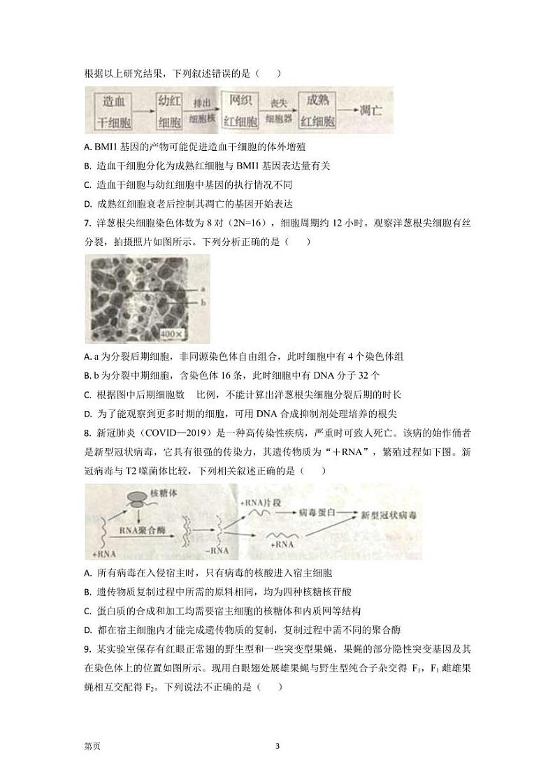 2022-2023学年湖南师范大学附中高三上学期月考（三）生物试题  PDF版03