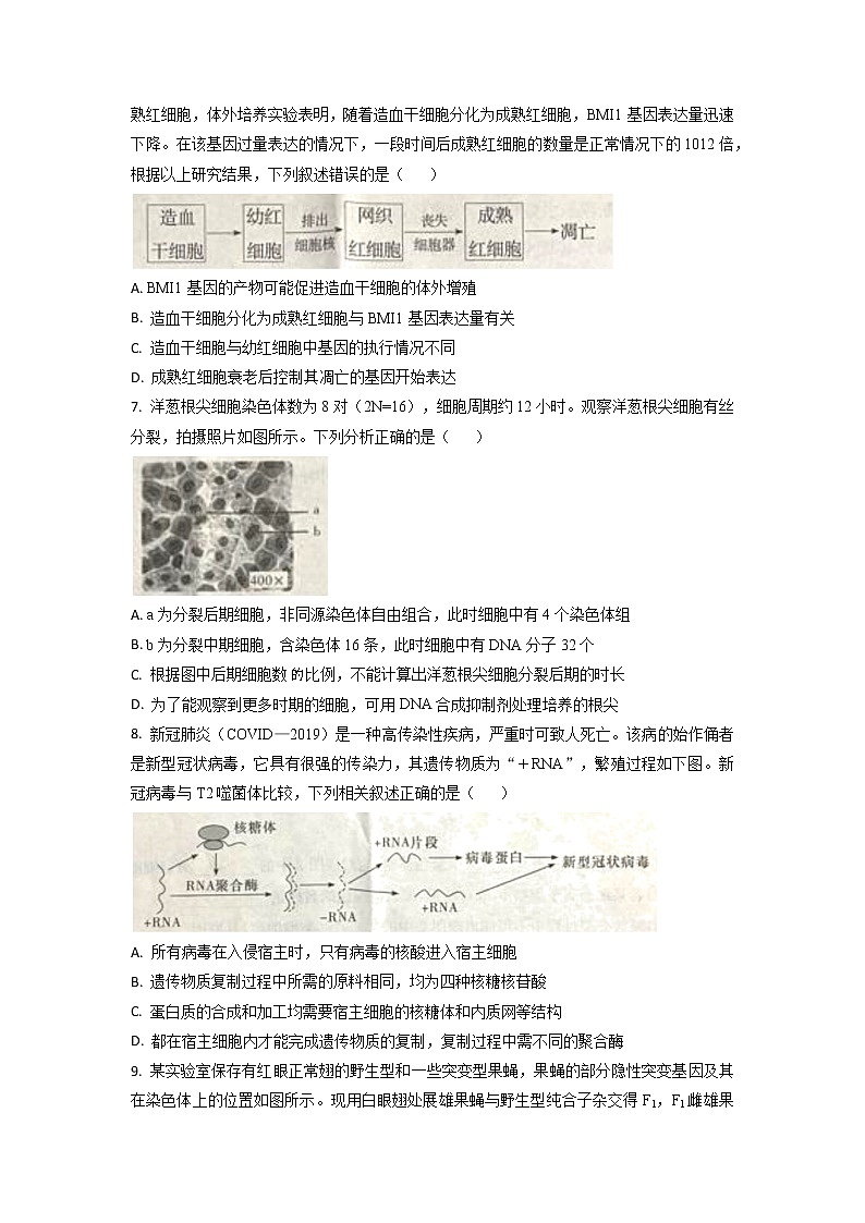 2022-2023学年湖南师范大学附中高三上学期月考（三）生物试题 （解析版）第3页