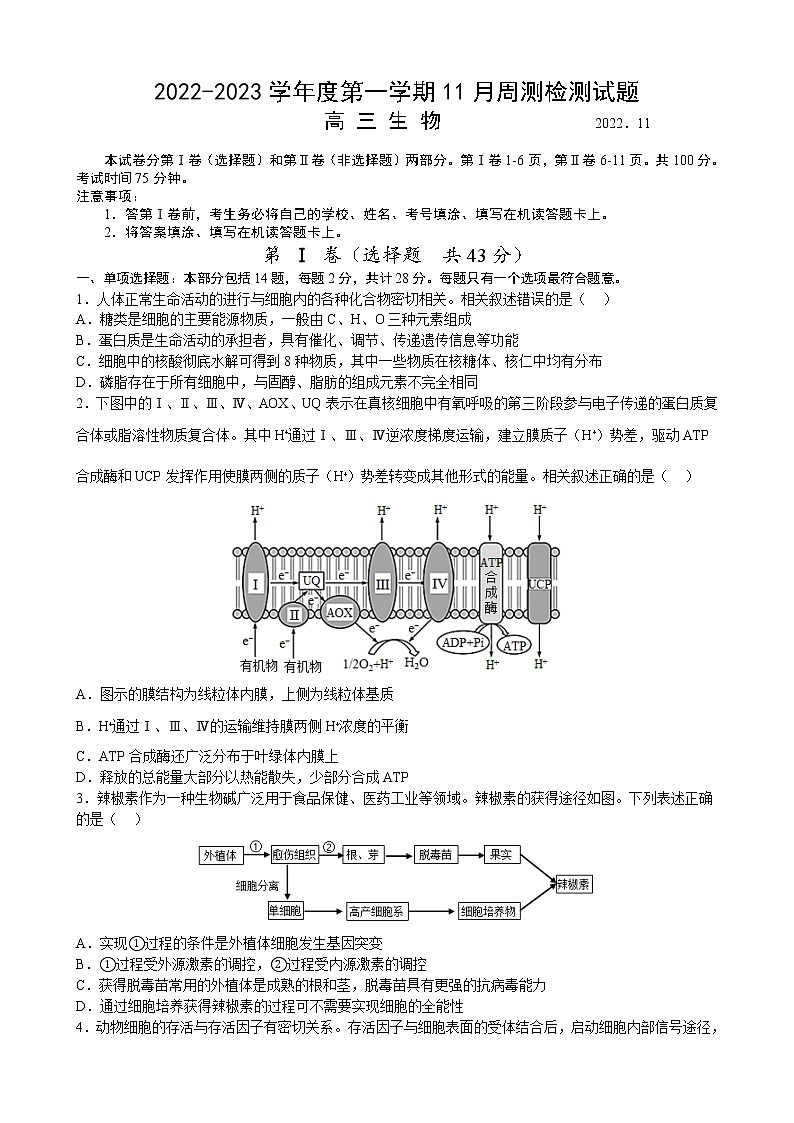 2022-2023学年江苏省扬州中学高三上学期11月双周练月考生物试题第1页