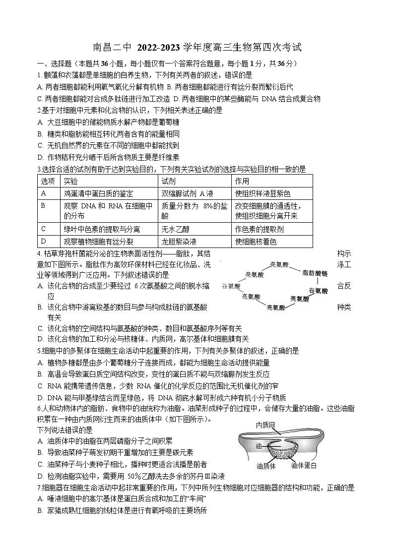 2022-2023学年江西省南昌市第二中学高三上学期第四次考试生物试题含答案第1页