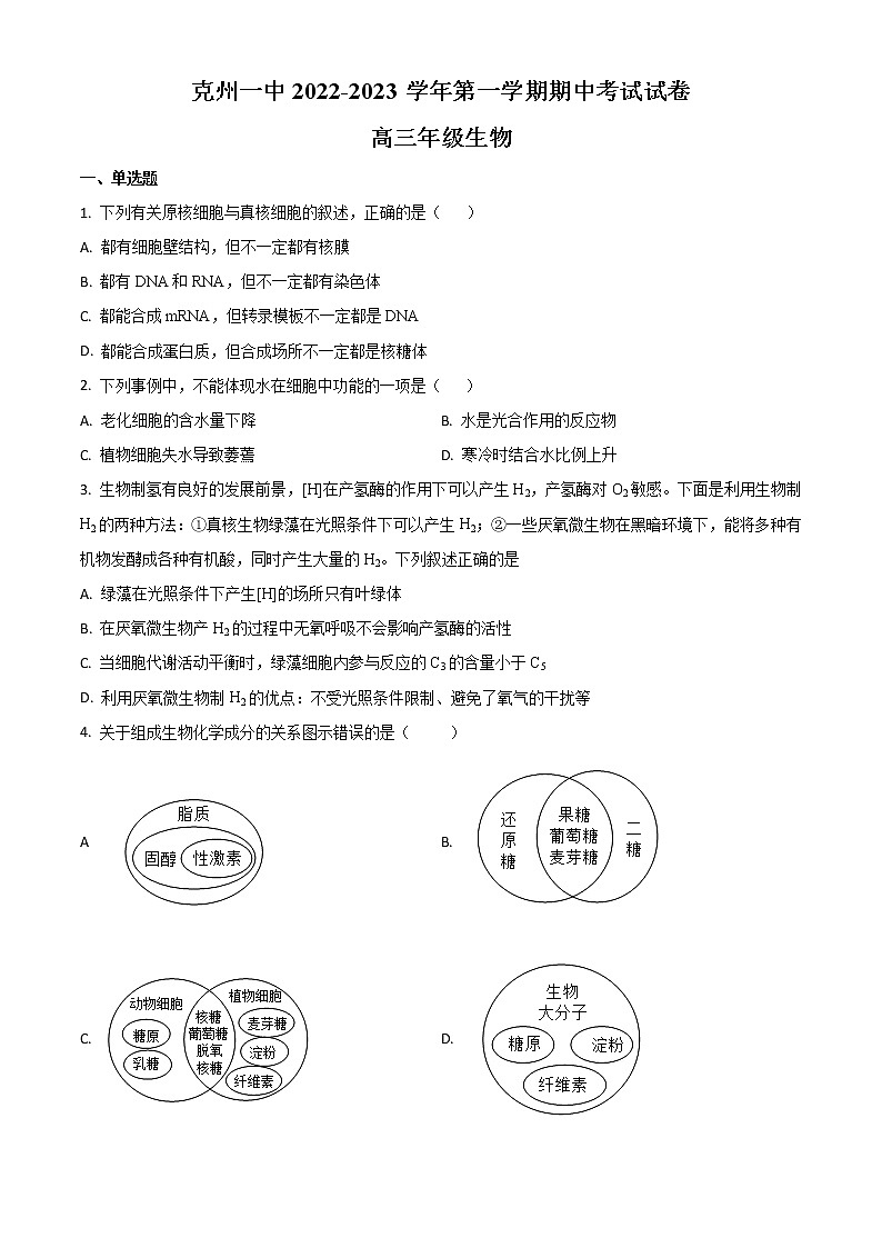 2022-2023学年新疆维克孜勒苏柯尔克孜自治州第一中学高三上学期11月期中考试 生物（解析版）01