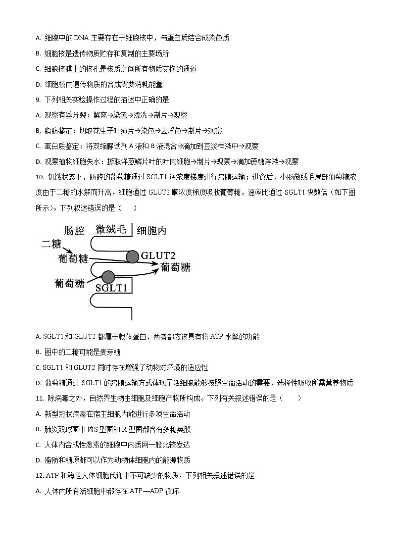 2022-2023学年新疆维克孜勒苏柯尔克孜自治州第一中学高三上学期11月期中考试 生物（解析版）03