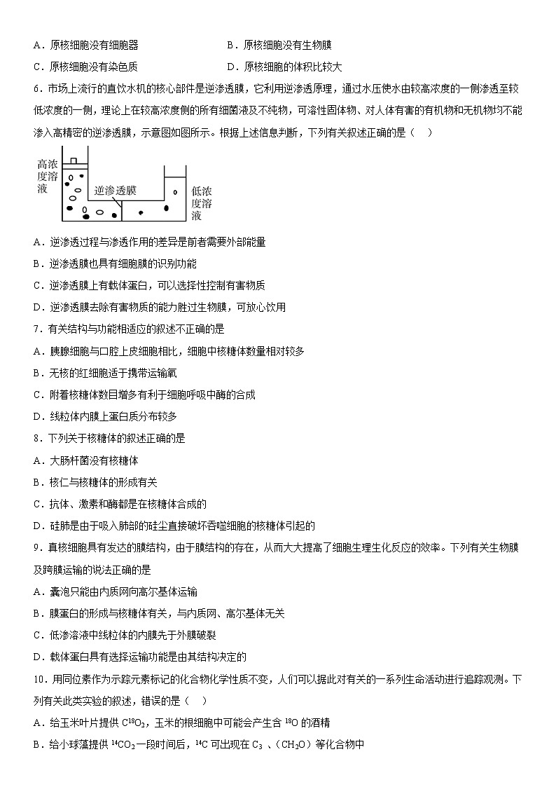 2022-2023学年新疆维吾尔自治区和田地区民丰县高三上学期11月期中生物试题 word版02