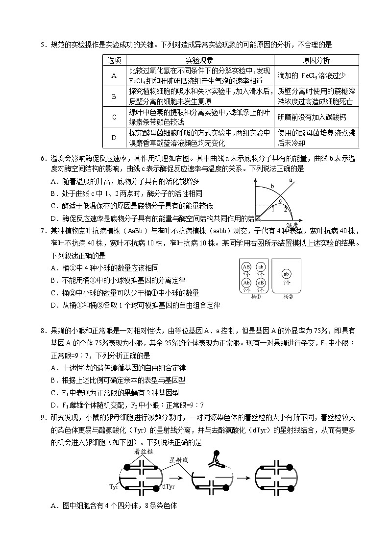 2022-2023学年山东省日照市高三上学期校际期中联考生物试题02