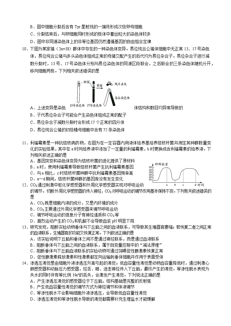 2022-2023学年山东省日照市高三上学期校际期中联考生物试题03